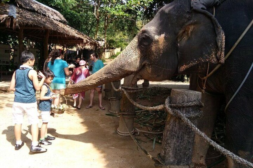 Customized Phuket Tours with Private Driver