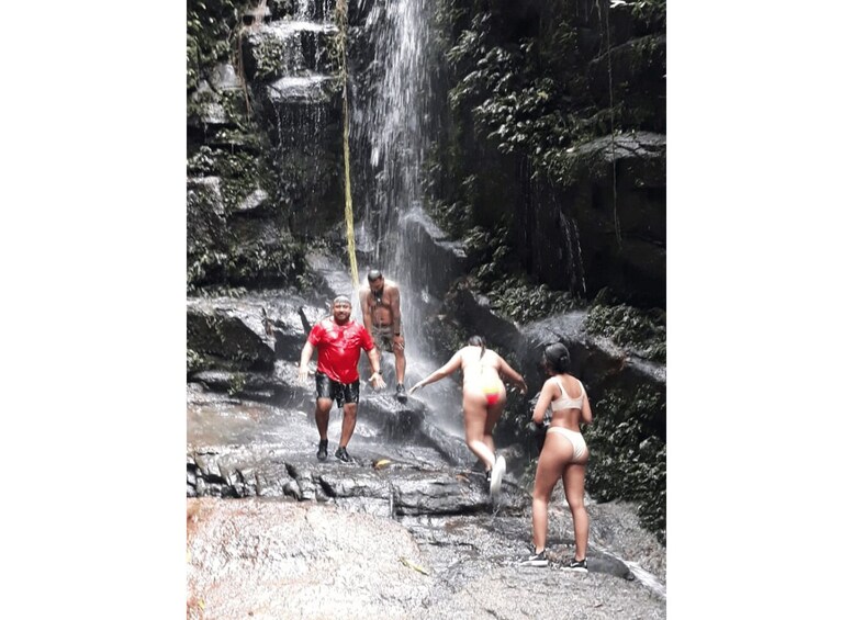 Picture 6 for Activity Rio: Tijuca National Park Private Guided Hike with Transfer