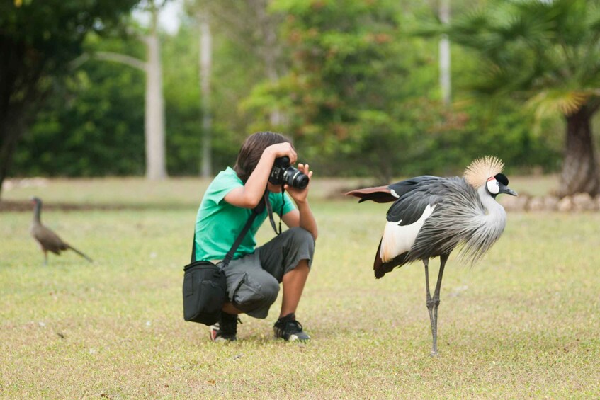 Picture 3 for Activity Cartagena: National Aviary of Colombia Entrance Tickets