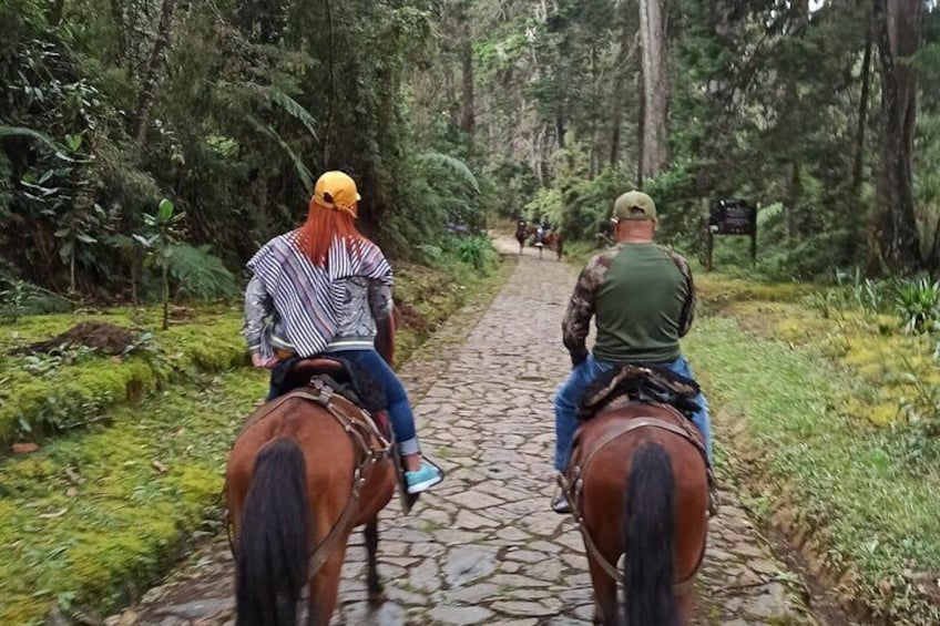 Medellin Horse ride coffee tour and spa