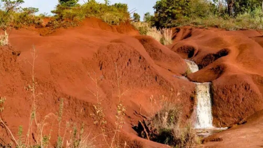Waimea Canyon and Kokee Valley Tour