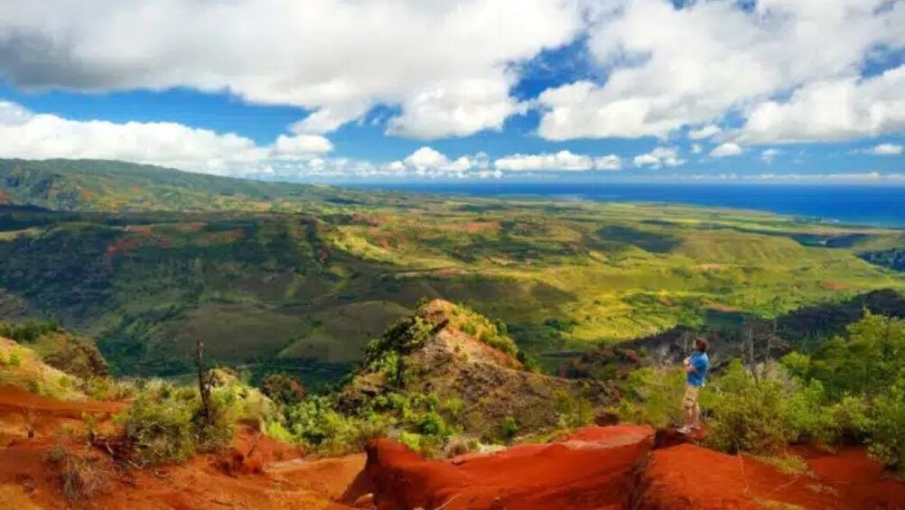 Waimea Canyon and Kokee Valley Tour