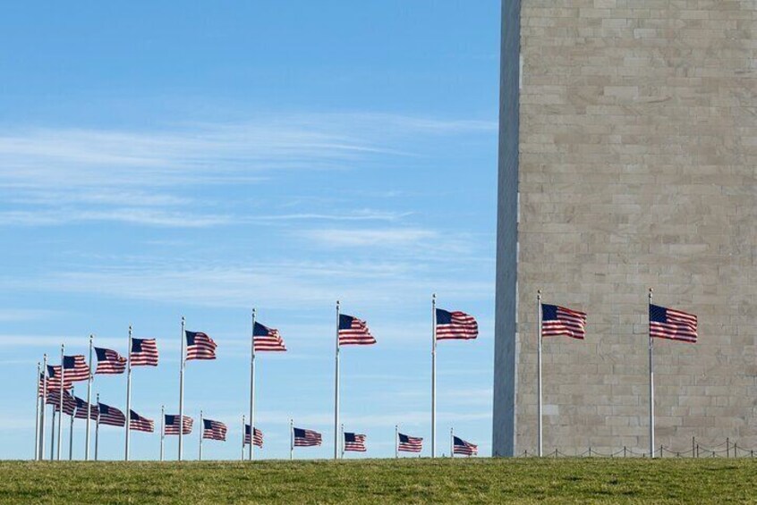 HALF DAY TOUR - Mt. Vernon + Night tour