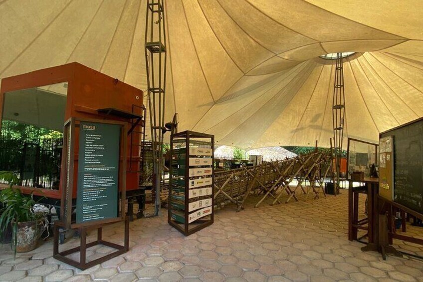 Private tour of Musa (Botanical Garden, Amazon Museum)