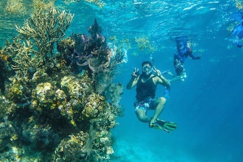 Snorkeling Day Trip To Ras Mohamed And White Island By Boat-sharm