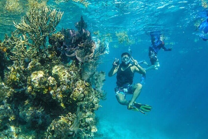 Snorkeling Day Trip To Ras Mohamed And White Island By Boat-sharm