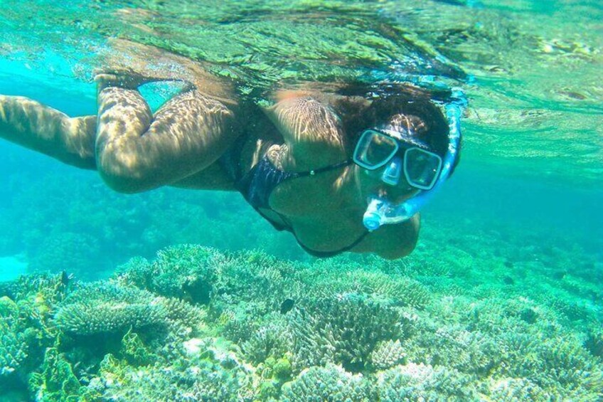 Snorkeling Day Trip To Ras Mohamed And White Island By Boat-sharm