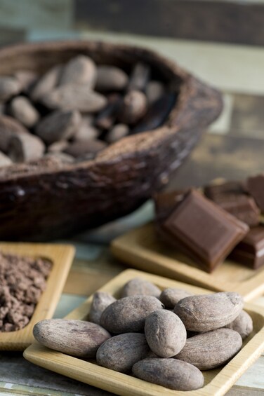 Uxmal + Chocolate Museum Choco - Story