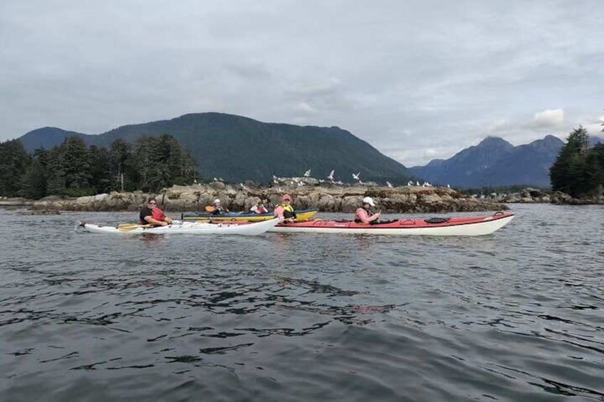 Rockwell Lighthouse Paddle in Sitka, Alaska