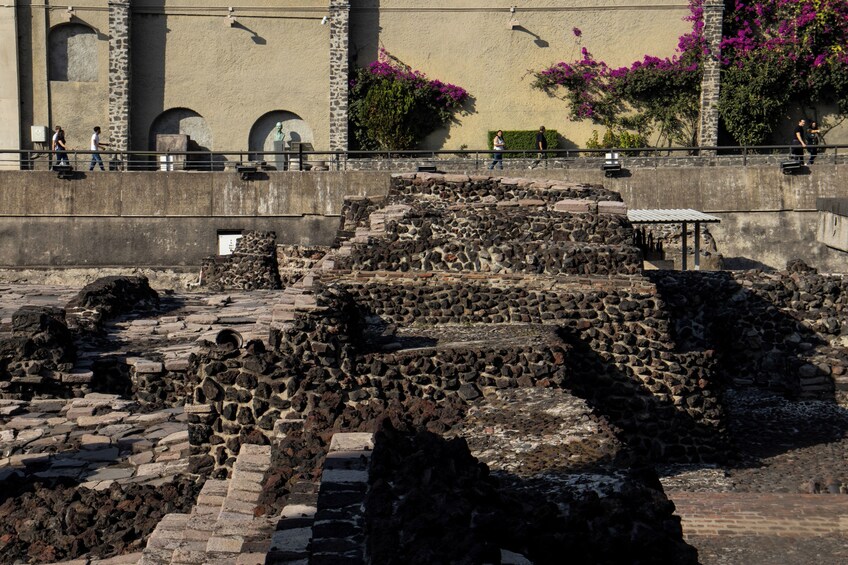Templo Mayor Ticket
