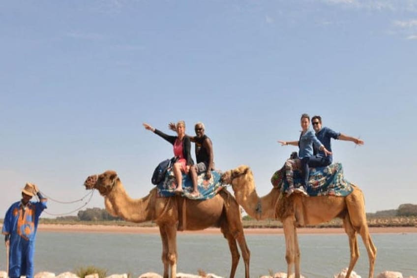 Camel Trek & BBQ Experience
