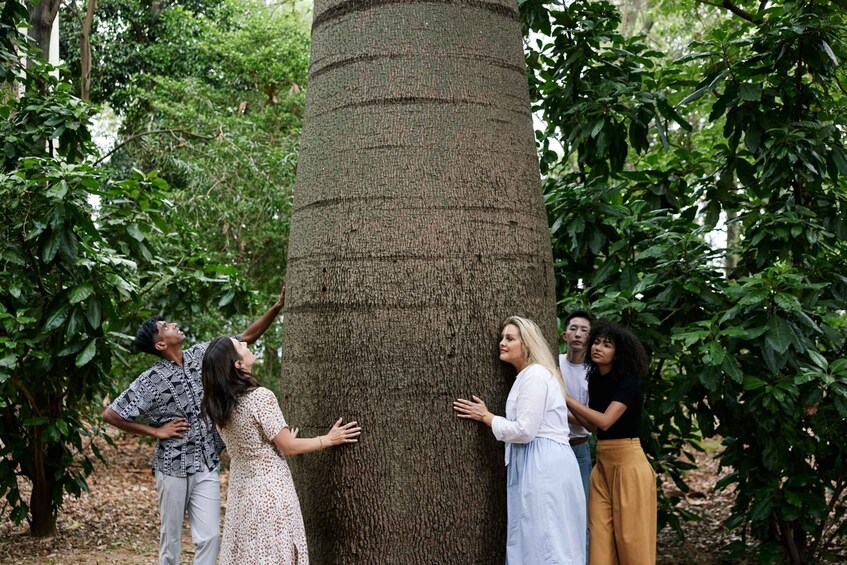 Picture 2 for Activity Adelaide: Guided Cultural Tour of Adelaide Botanic Garden