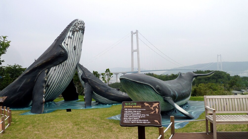 Giant whale statues as part of the exhibits at the whale museum in Ulsan

