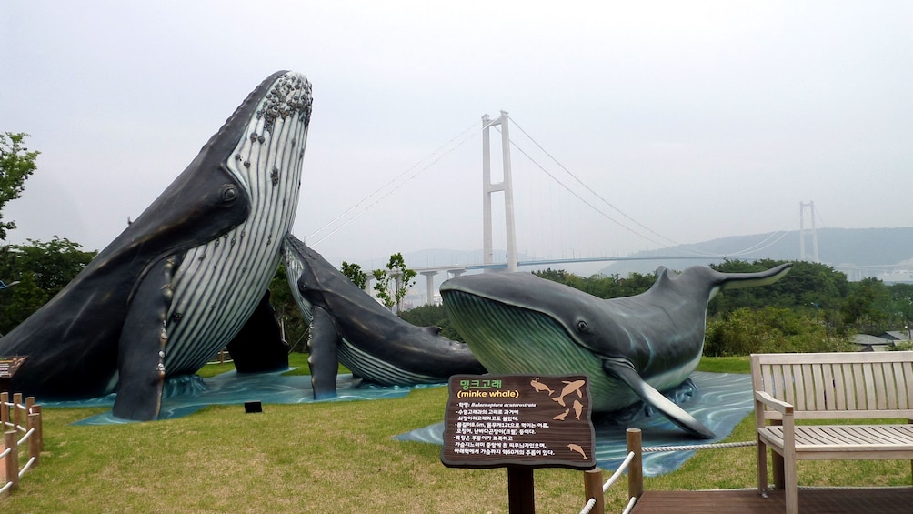 Giant whale statues as part of the exhibits at the whale museum in Ulsan