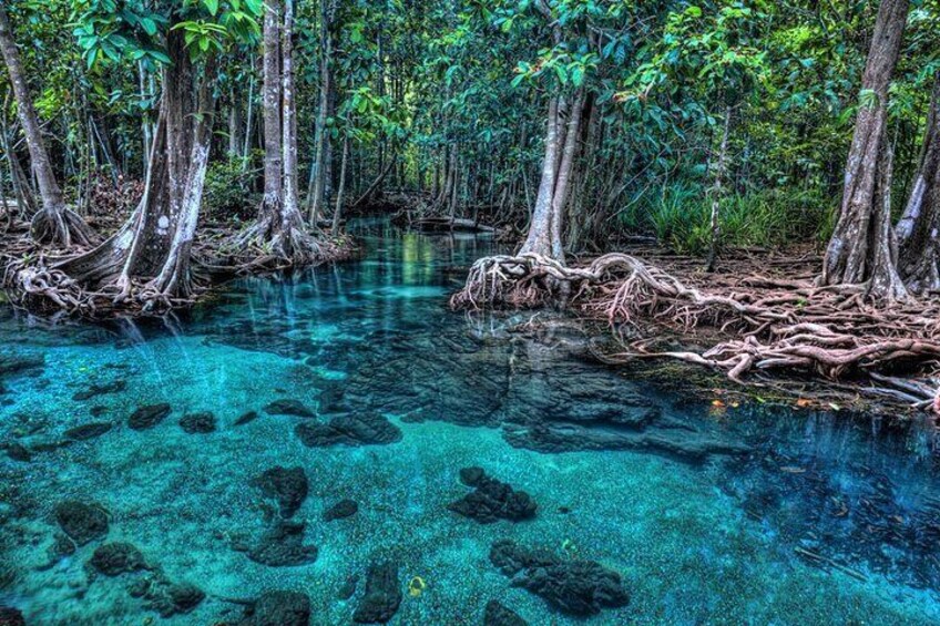 Half Day Krabi Jungle tour at Hot Spring and Emerald Pool