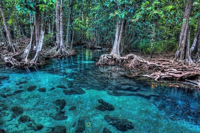 Half Day Krabi Jungle tour at Hot Spring and Emerald Pool