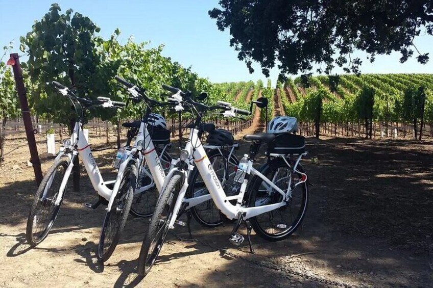 Pedal and Paddle Wine Tour in Arizona