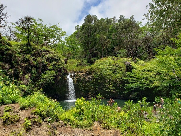 Road to Hana Tour From Maui - Private Tour