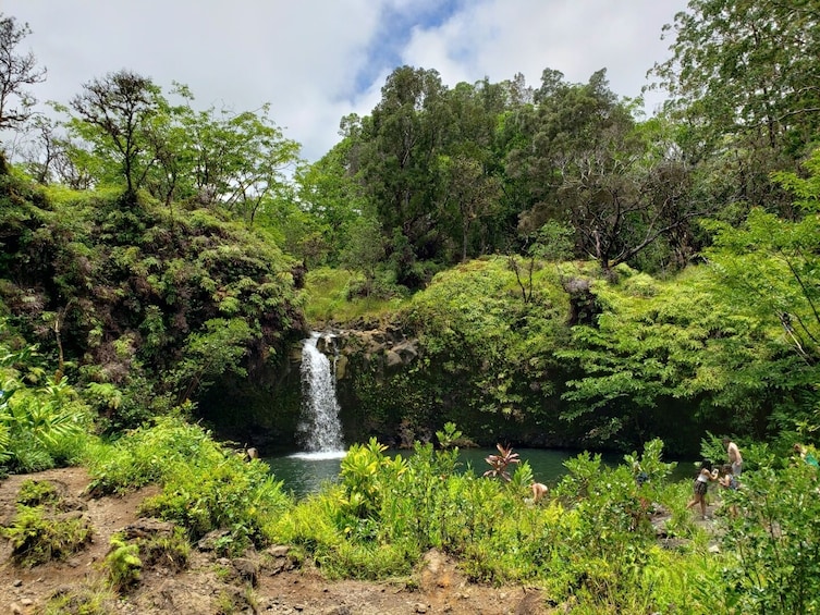Road to Hana Tour From Maui - Private Tour