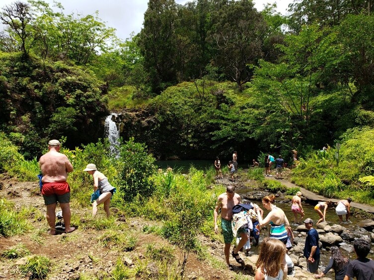 Road to Hana Tour From Maui - Private Tour