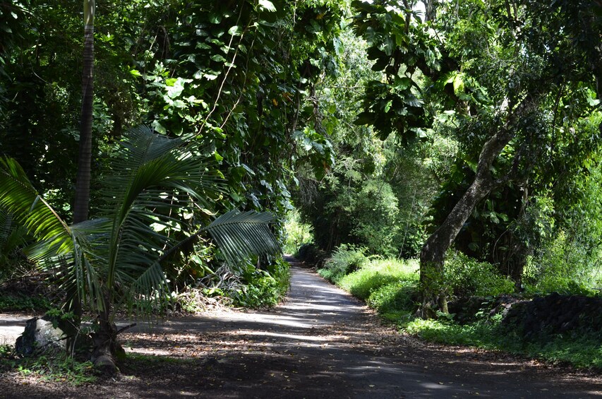 Road to Hana Tour From Maui - Private Tour