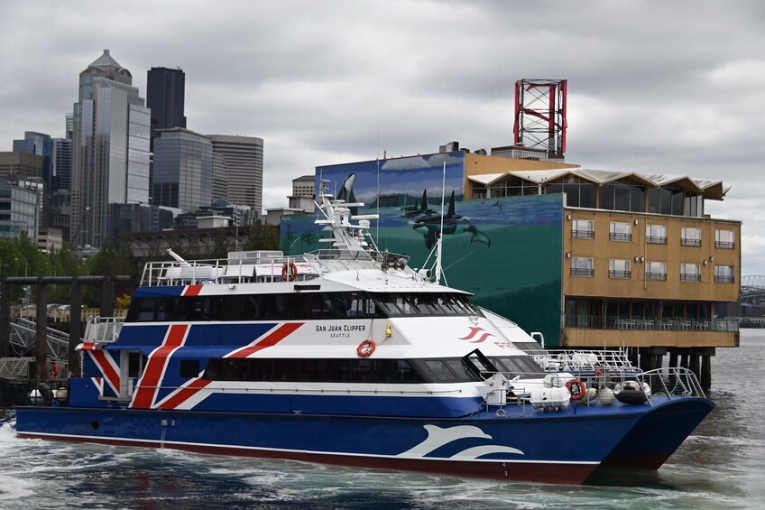 Only Wildlife and Whale Watching Tour Leaving from Seattle