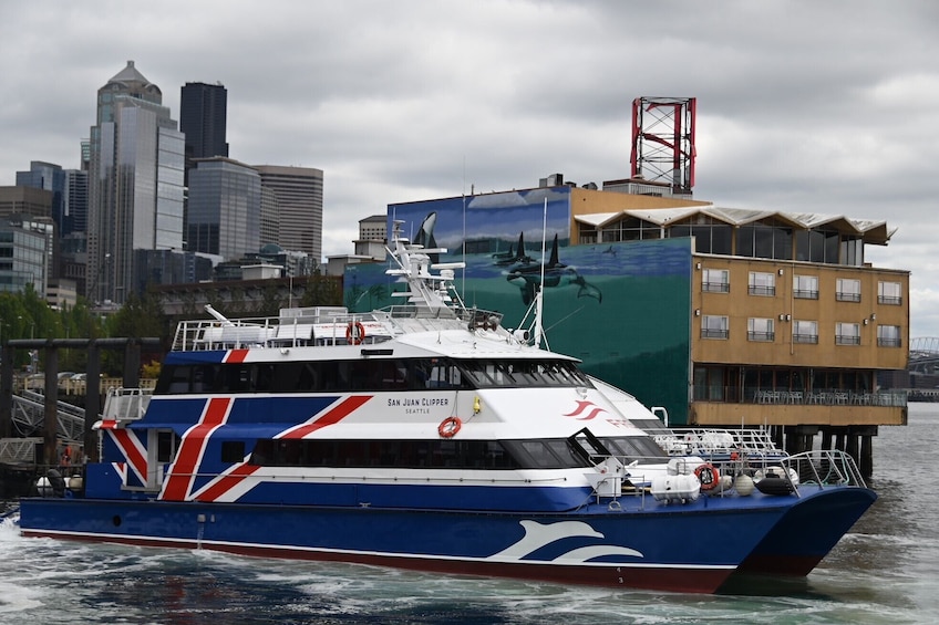 Only Wildlife and Whale Watching Tour Leaving from Seattle