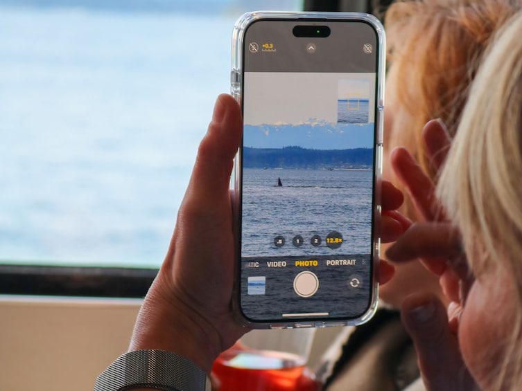 Only Wildlife and Whale Watching Tour Leaving from Seattle