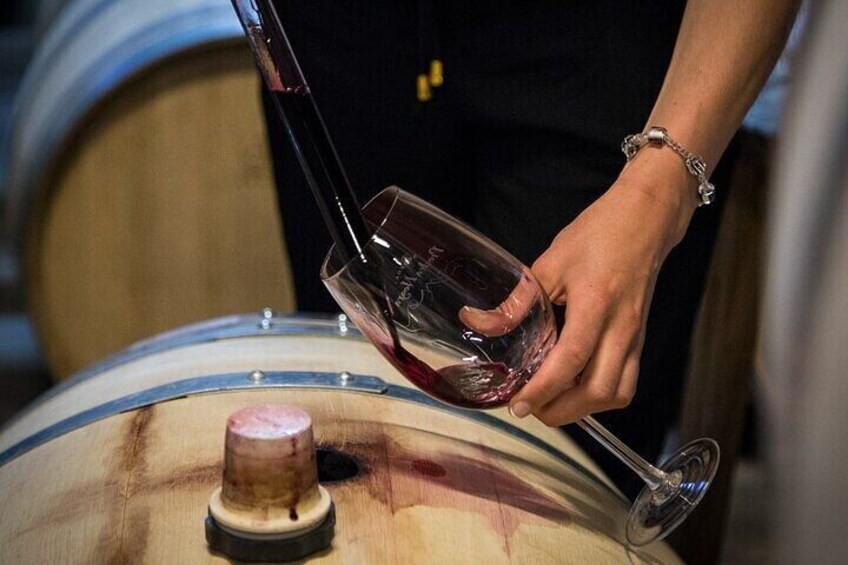 Uco Deluxe: Best wineries and real “asado argentino”