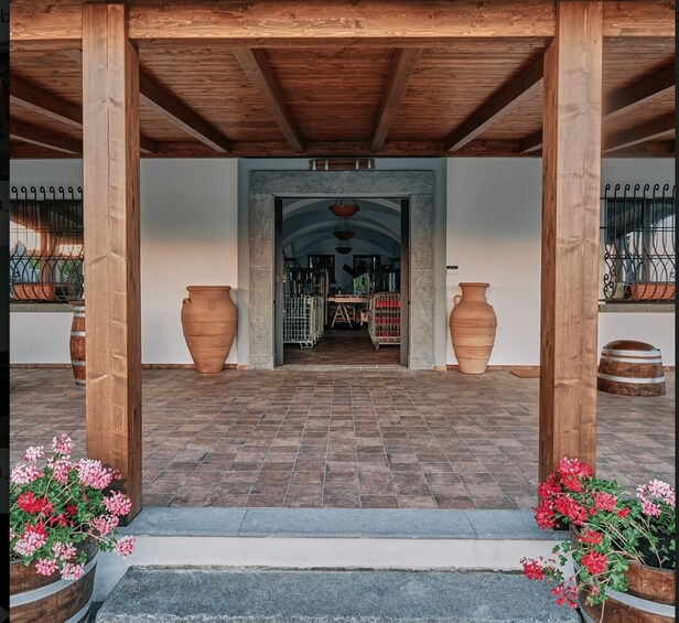 Picture 6 for Activity Mount Vesuvius: Vineyard Tour with Wine Tasting and Lunch
