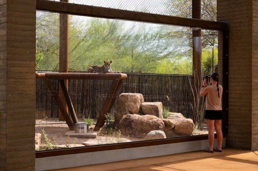 Phoenix Zoo Admission Ticket
