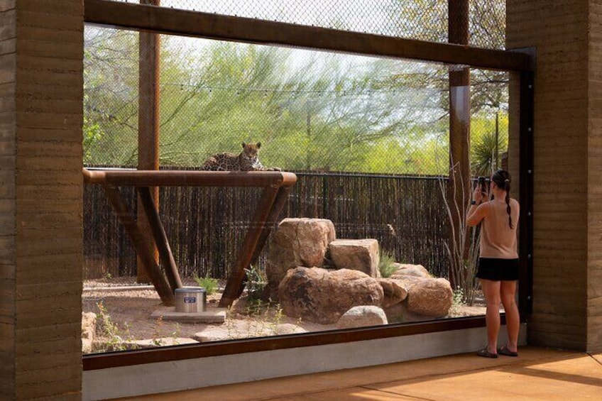 Phoenix Zoo Admission Ticket