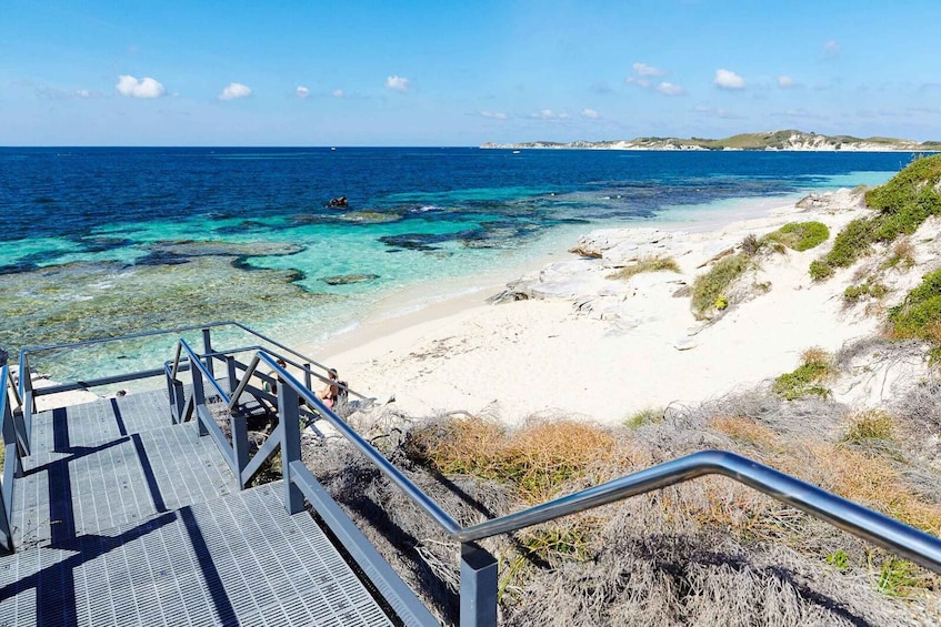 Picture 3 for Activity From Perth: Rottnest Island Ferry & Admission