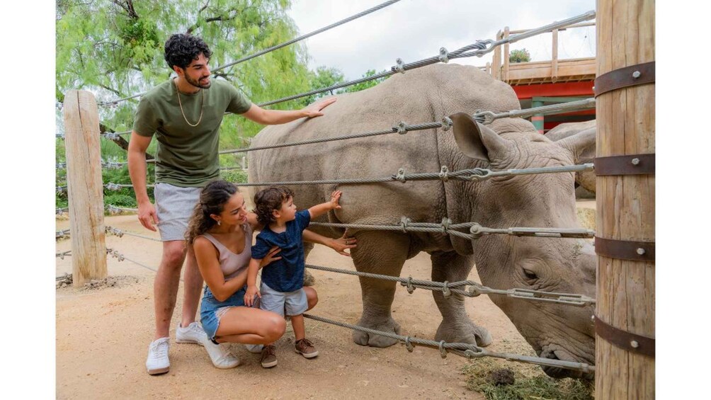 Picture 23 for Activity San Antonio: San Antonio Zoo Any Day Ticket
