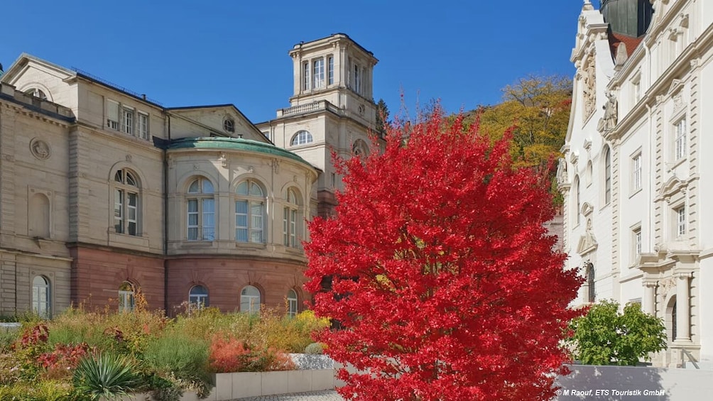 Baden-Baden/Black Forest and Strasbourg Tour