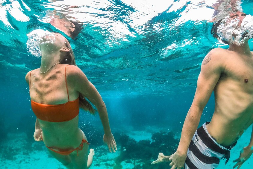 Ocho Rios West Coast Powerboat Adventure Half Day