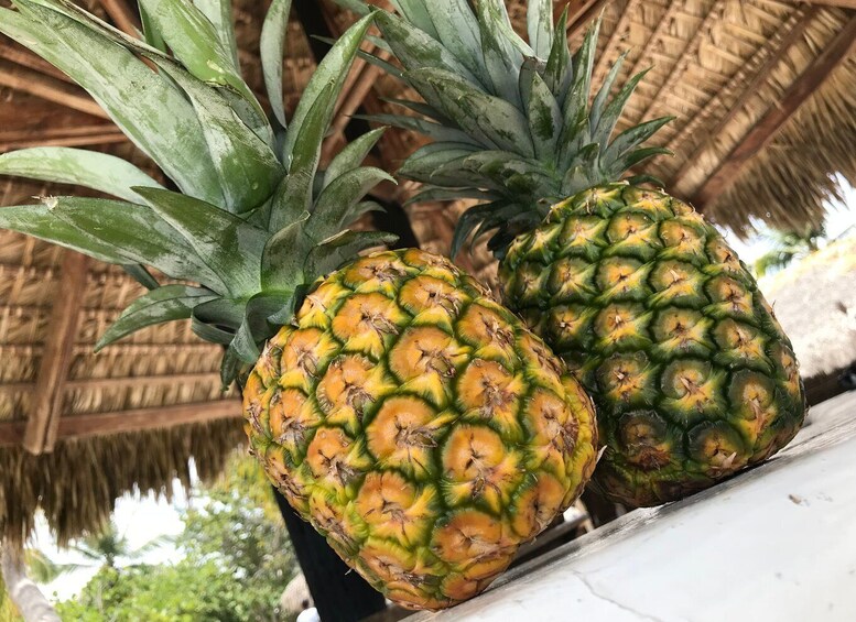 Picture 4 for Activity Punta Cana: Saona Island Day Trip
