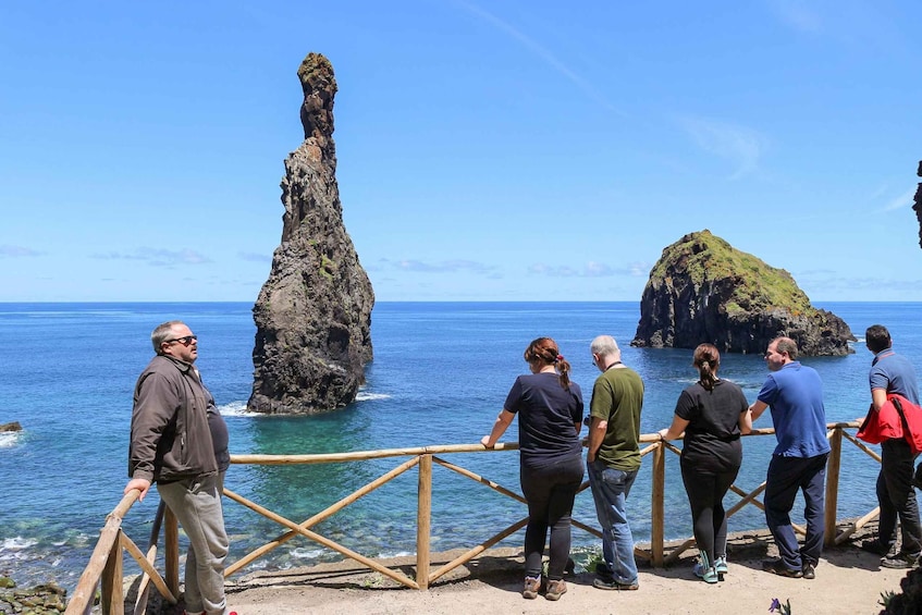 Picture 10 for Activity Funchal: Enchanted Terraces, Porto do Moniz & Fanal 4WD Tour