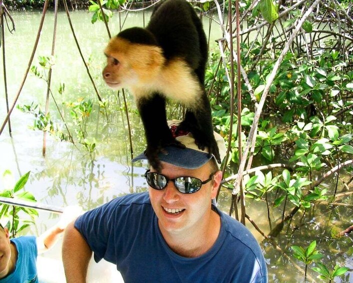 Picture 3 for Activity Manuel Antonio: Damas Island Mangrove Boat (Lunch included)
