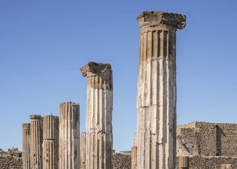 Picture 13 for Activity Pompeii Tour & Lunch with Wine Tasting Experience