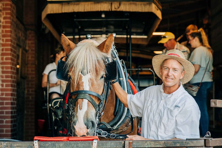 Picture 2 for Activity Charleston: Historical Downtown Tour by Horse-drawn Carriage