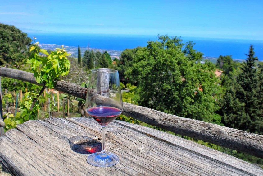 Picture 6 for Activity Mt. Etna Private Tour with Food and Wine Tasting