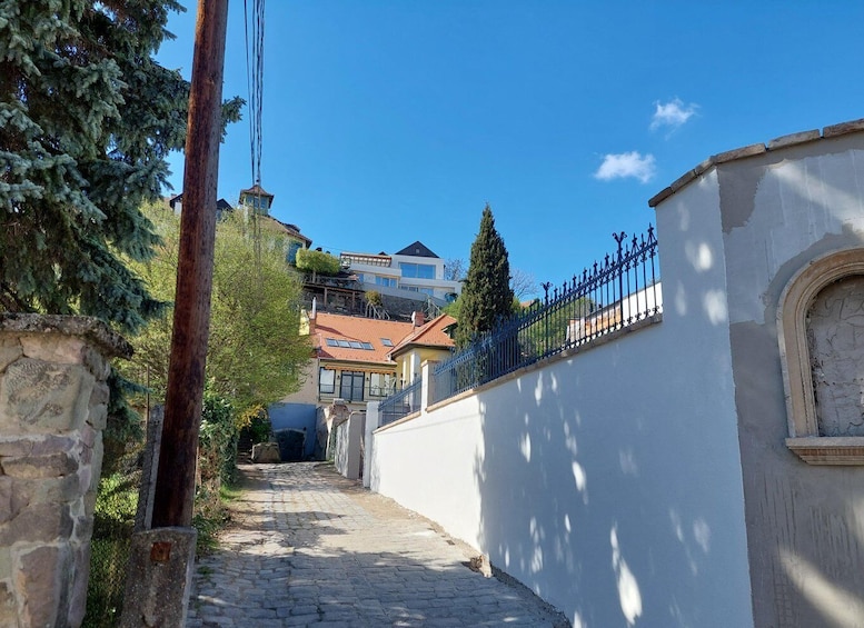Picture 11 for Activity Szentendre: Half-Day Private Tour from Budapest