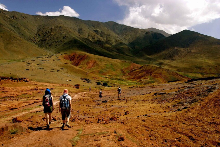Picture 22 for Activity Marrakesh: Full-Day Desert and Mountain Tour with Camel Ride