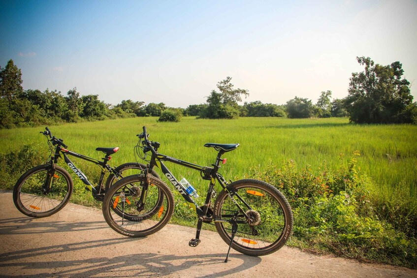 Picture 1 for Activity Siem Reap: Countryside Cycle and Local Village Life Tour