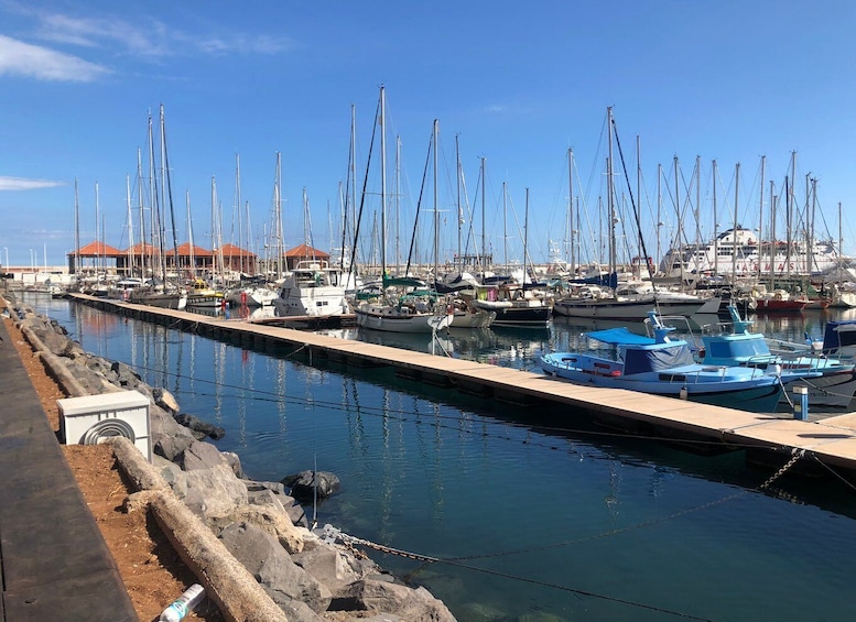 Picture 5 for Activity From Tenerife: Guided Tour to La Gomera with Ferry Ticket