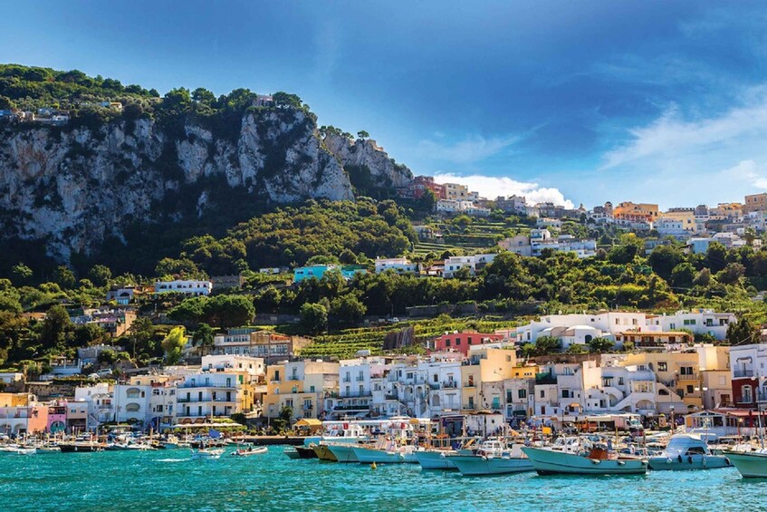 Picture 1 for Activity From Salerno: Capri and the Sirenusas Boat Tour