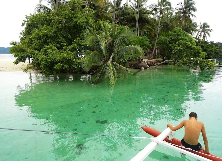 Picture 3 for Activity Port Barton: Island Hopping to Turtle Spot & Reef with Lunch