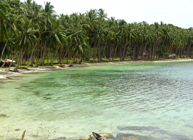 Picture 7 for Activity Port Barton: Island Hopping to Turtle Spot & Reef with Lunch
