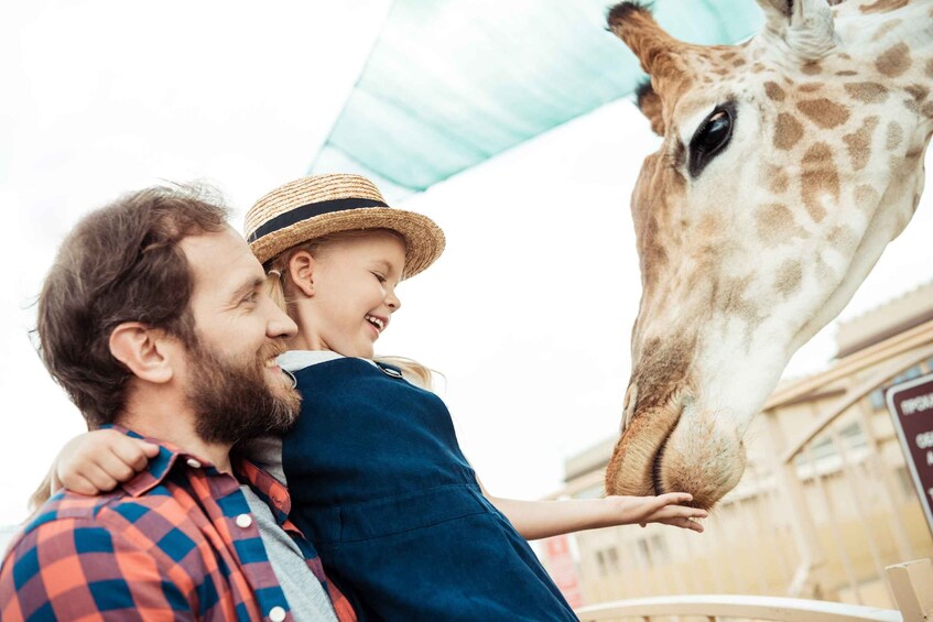 Picture 1 for Activity Wroclaw: Zoo with Private Transport and Tickets